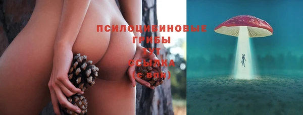 jwh Нефтекумск