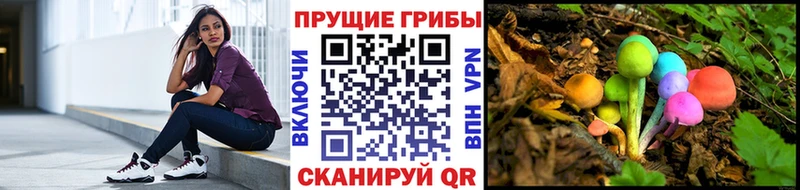 Псилоцибиновые грибы прущие грибы  Нерехта 